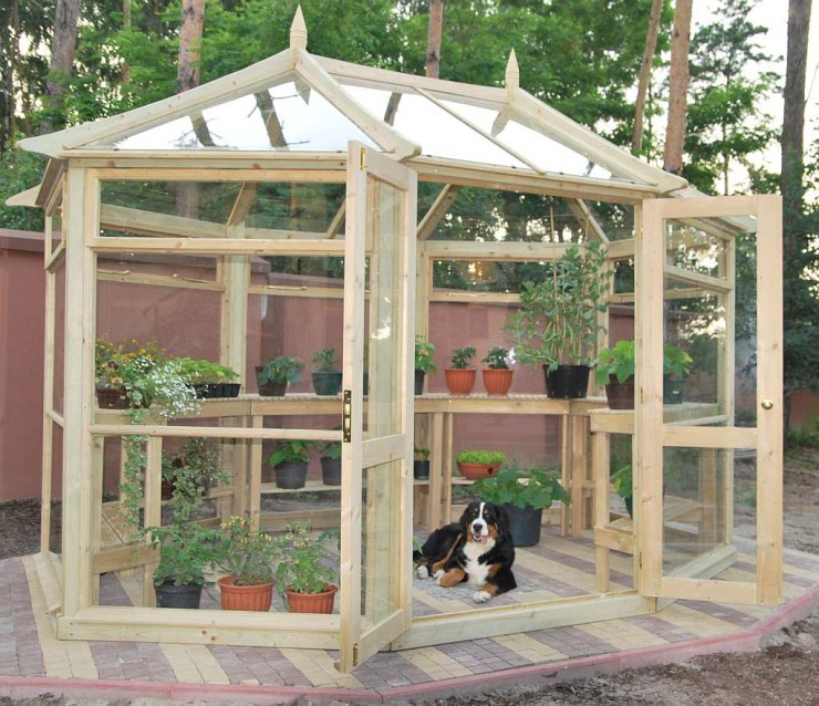 Edwardian Greenhouse